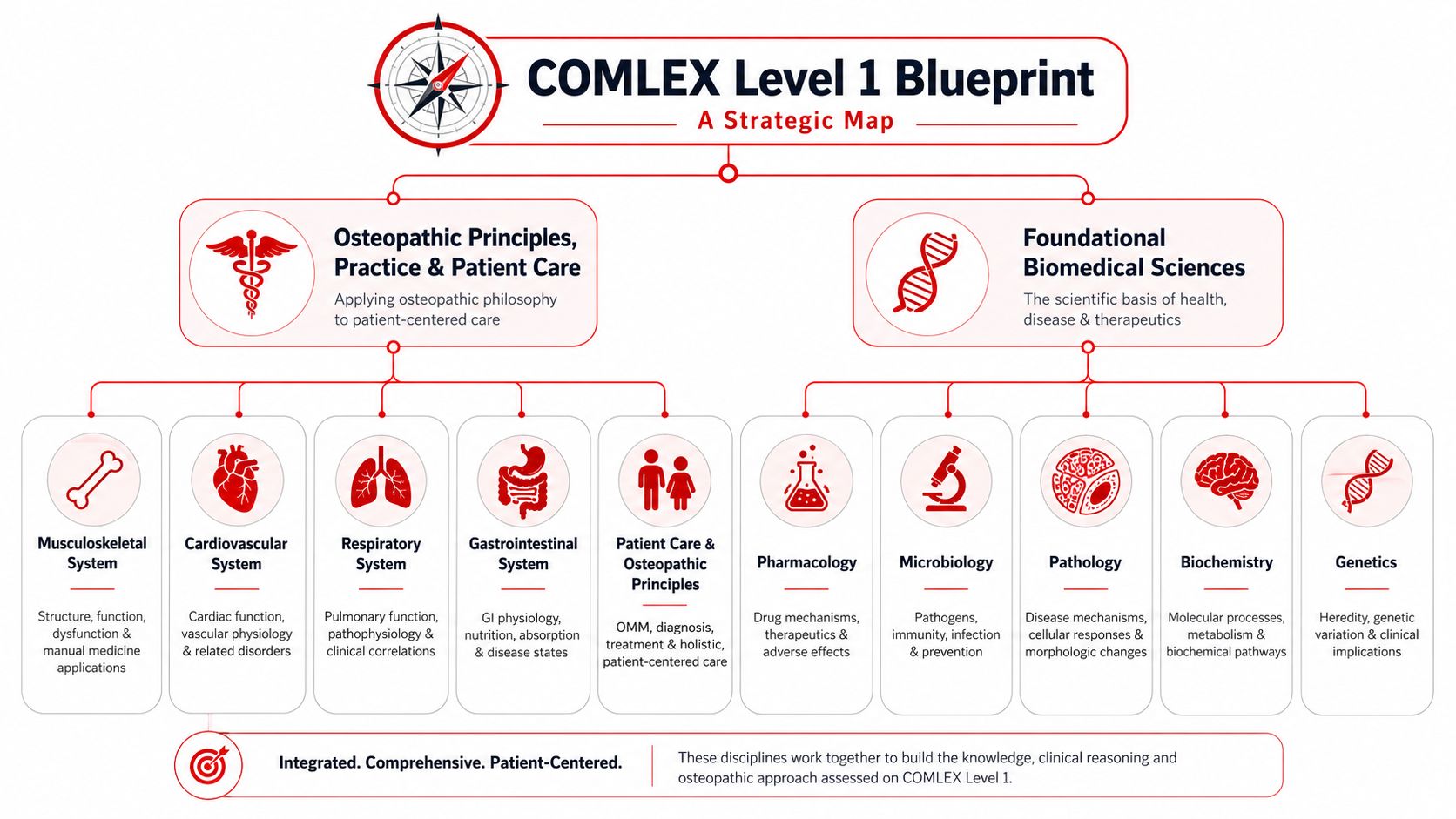 A visual infographic titled COMLEX Level 1 Blueprint outlining the exam's key subjects and core medical disciplines.