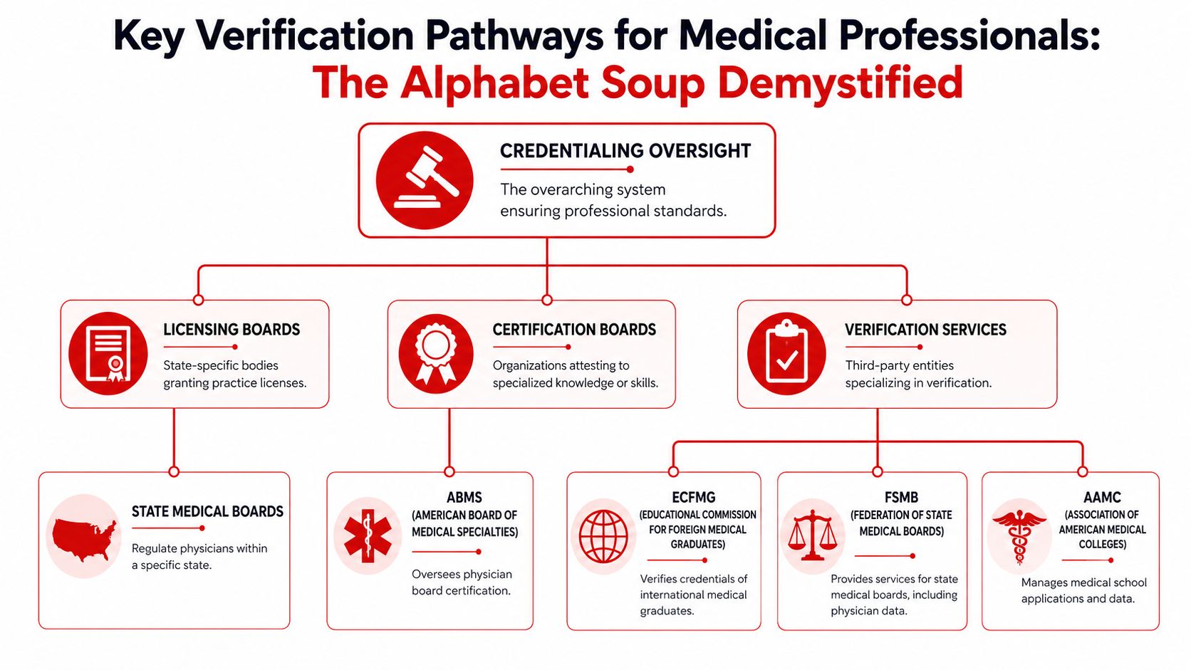 A flowchart diagram illustrating the key verification pathways and regulatory organizations for medical professionals in the United States.