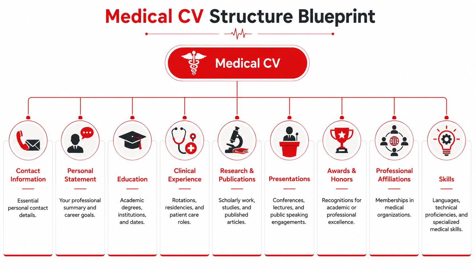 A diagram outlining the structure of a medical CV including sections for experience, research, and skills.