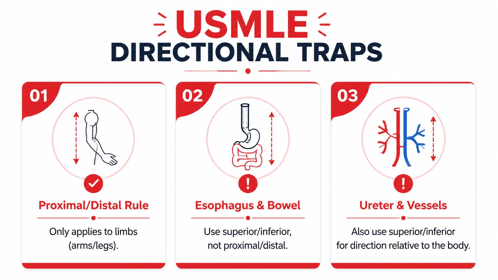 An infographic titled USMLE Directional Traps illustrating correct anatomical terminology usage for limbs versus internal body structures.