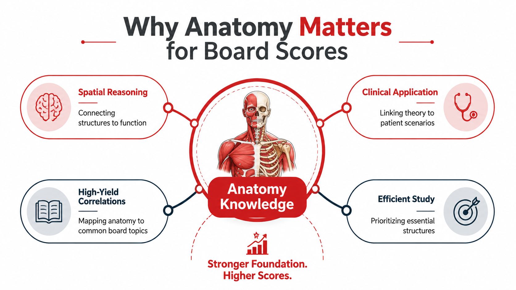 An infographic illustrating how foundational anatomy knowledge leads to better medical board exam performance and scores.