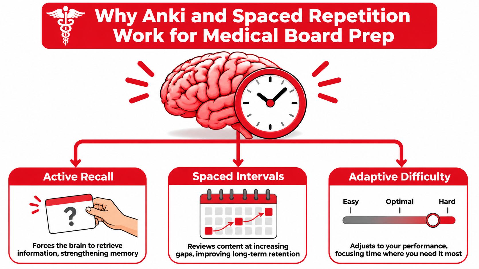 An infographic explaining how Anki and spaced repetition improve memory through active recall, intervals, and adaptive difficulty.