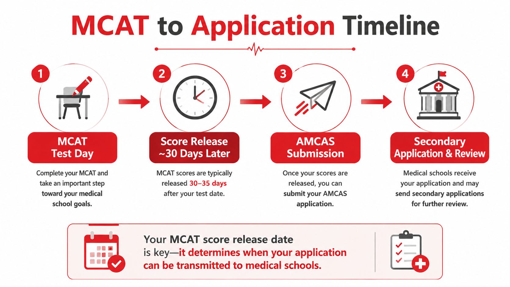 A four-step infographic illustrating the medical school application timeline starting from the MCAT test date.