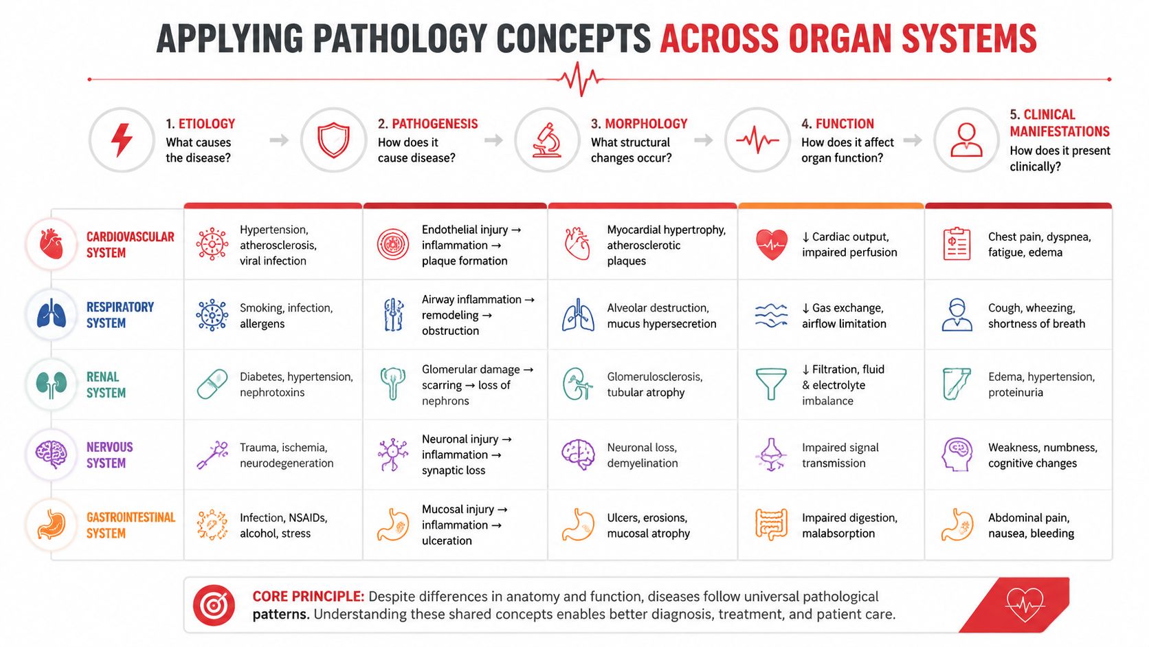 A chart illustrating core pathology concepts including etiology, pathogenesis, morphology, function, and clinical manifestations across five organ systems.