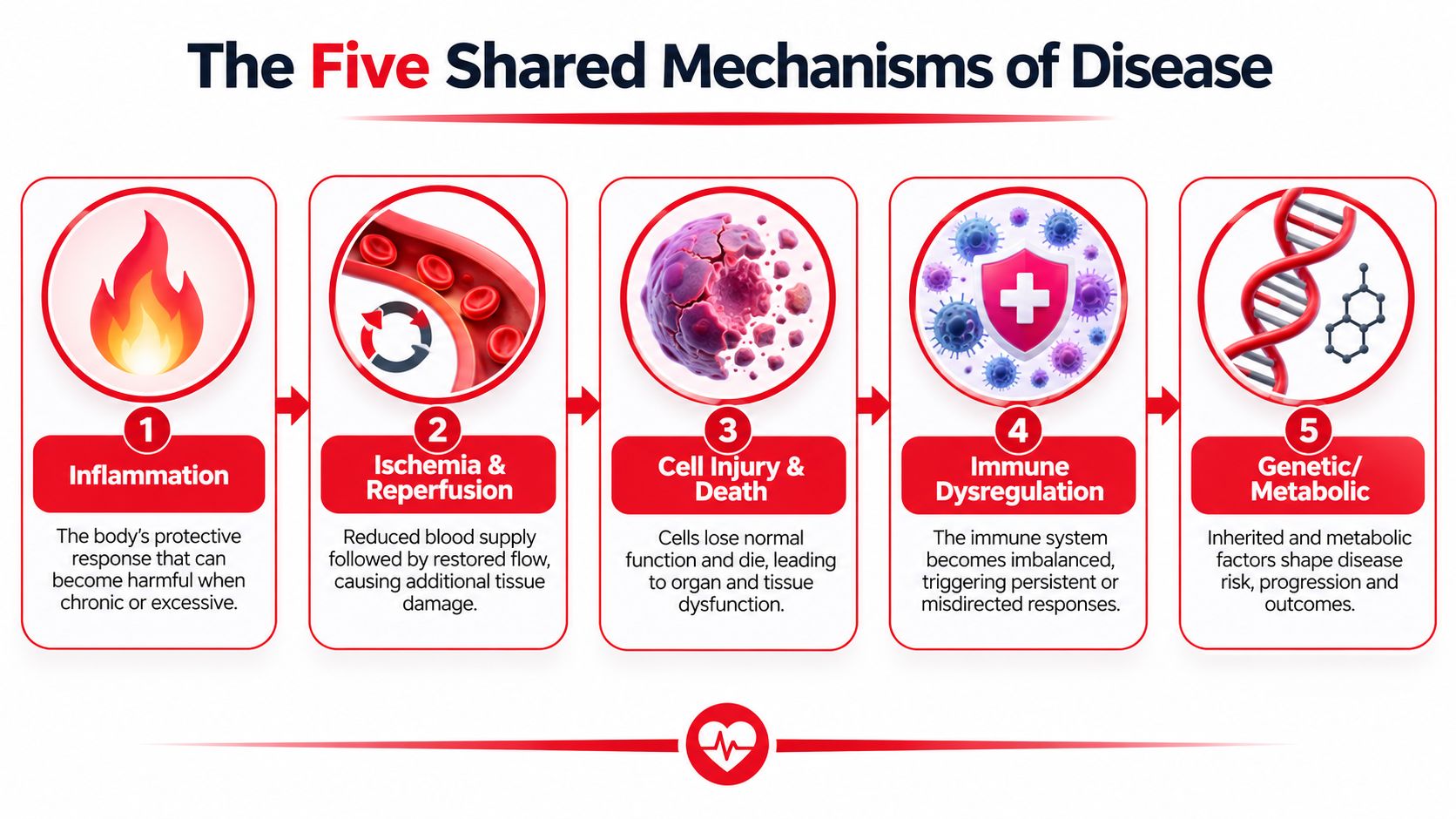An infographic titled The Five Shared Mechanisms of Disease, illustrating inflammation, ischemia, cell death, immune dysregulation, and genetics.