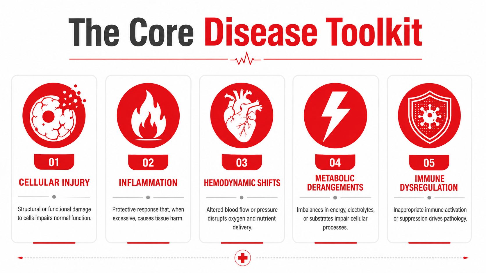 A red and white infographic titled The Core Disease Toolkit, listing five key pathophysiological processes.