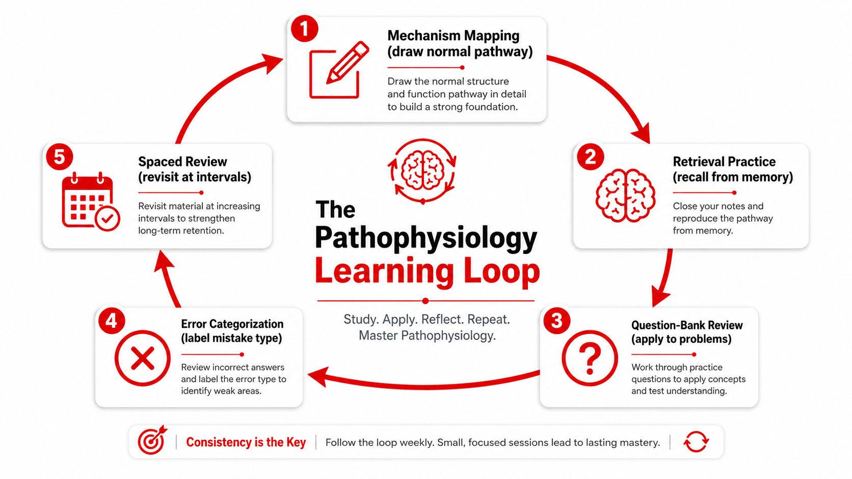 An educational diagram outlining The Pathophysiology Learning Loop with five steps for effective medical study and mastery.