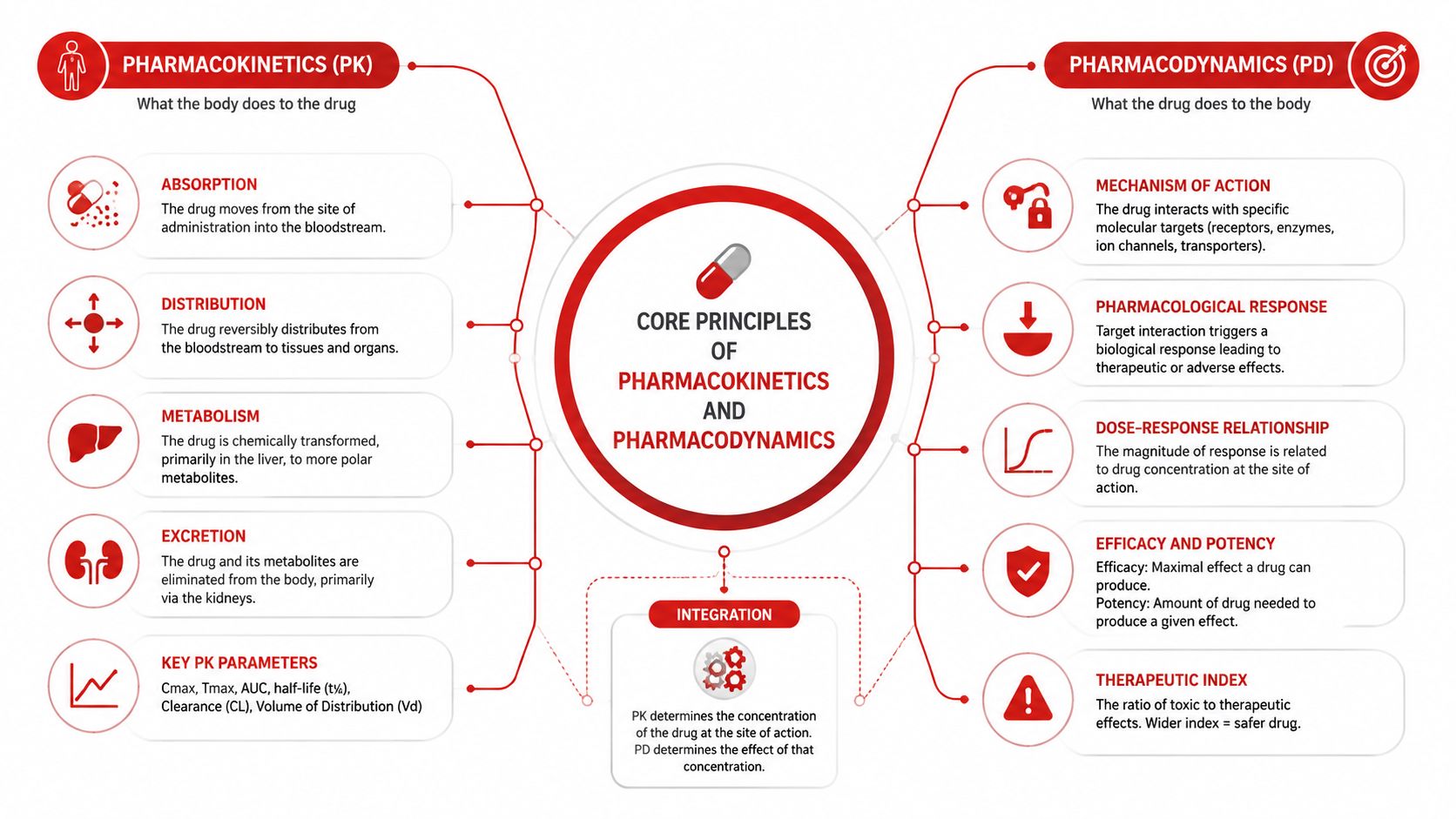 A diagram illustrating the core principles of pharmacokinetics and pharmacodynamics including their definitions and key components.