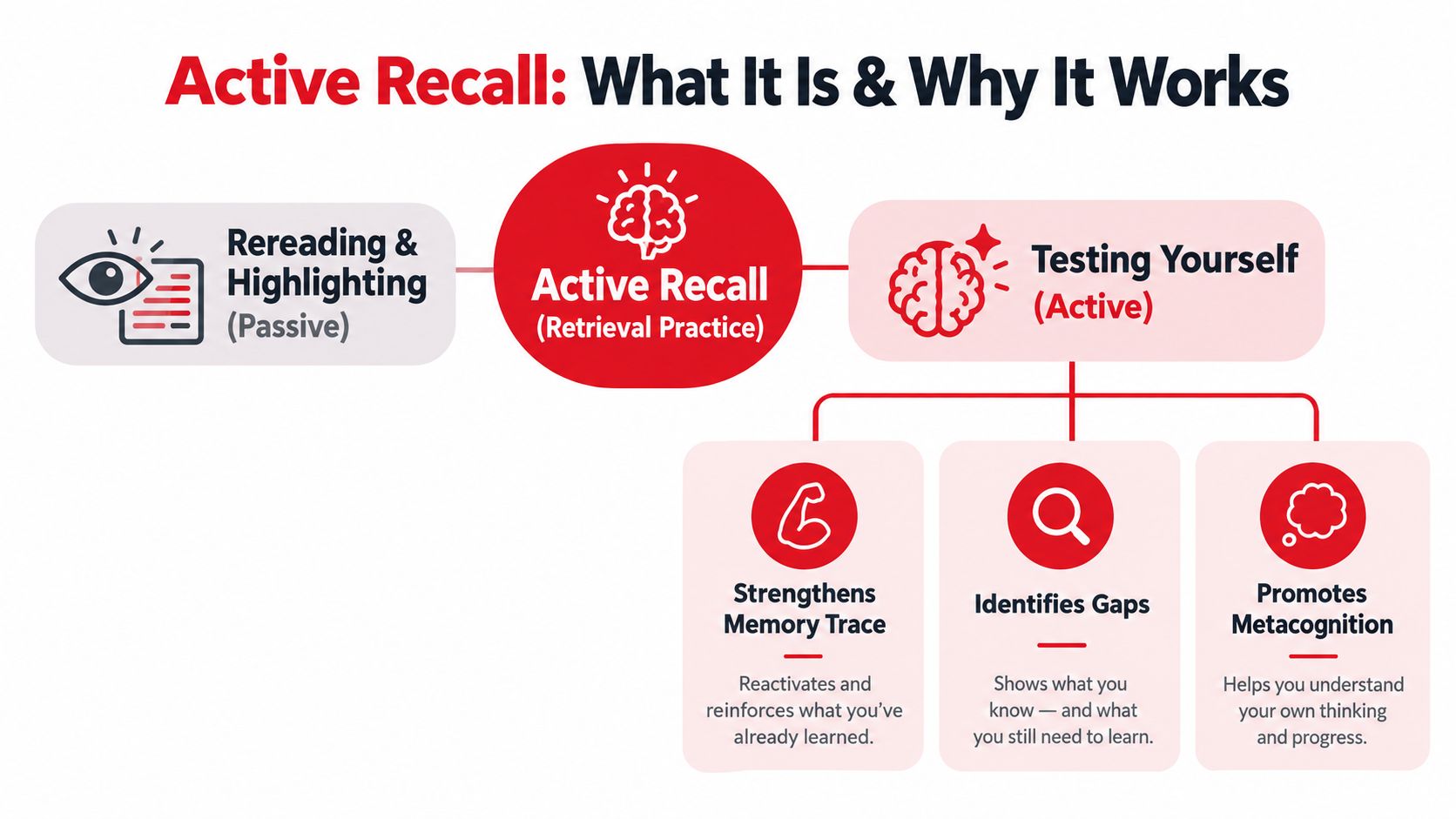 An infographic explaining active recall as a study method compared to passive rereading and highlighting techniques.