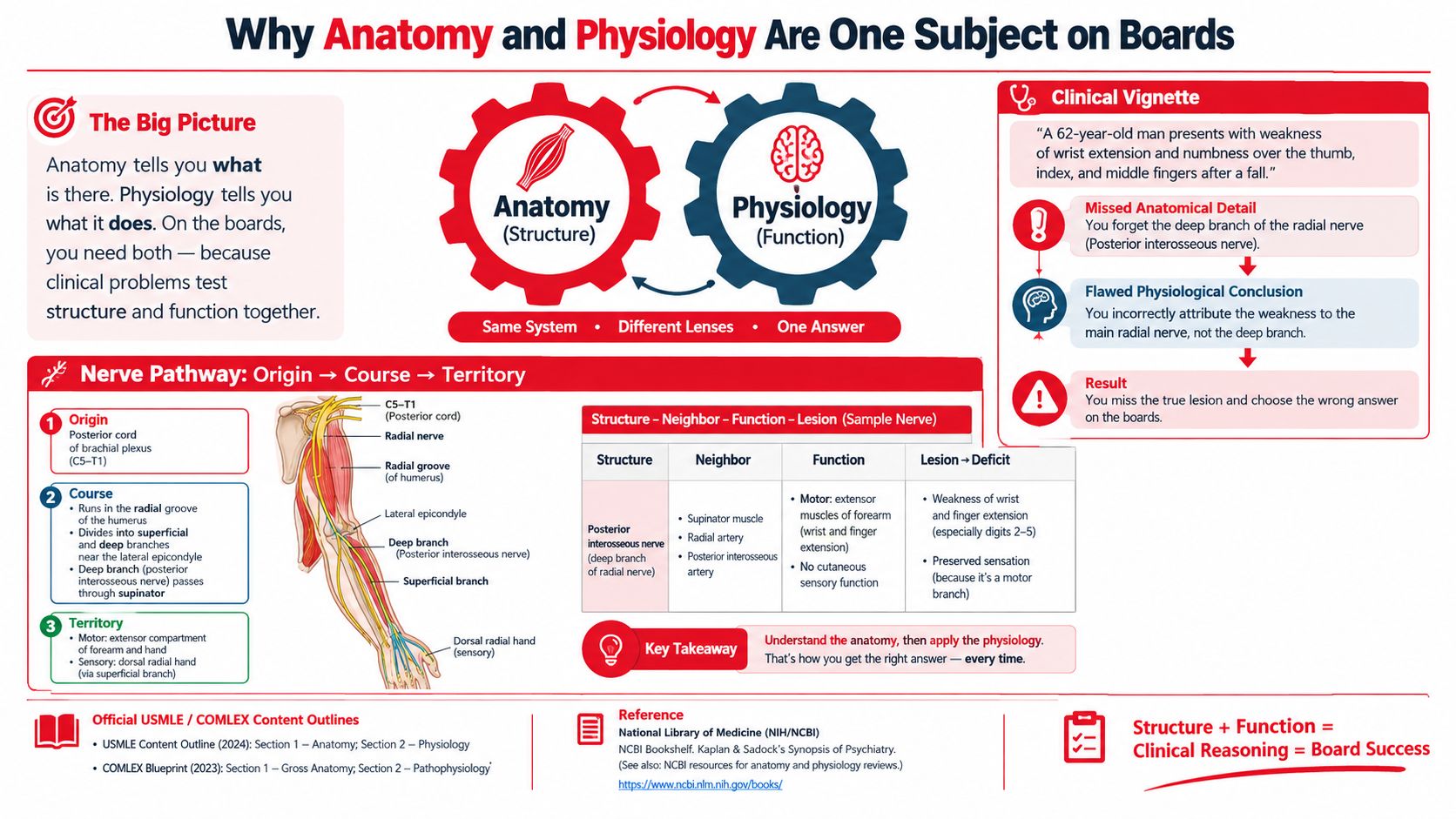 An educational infographic explaining the integrated relationship between anatomical structure and physiological function for medical board exams.