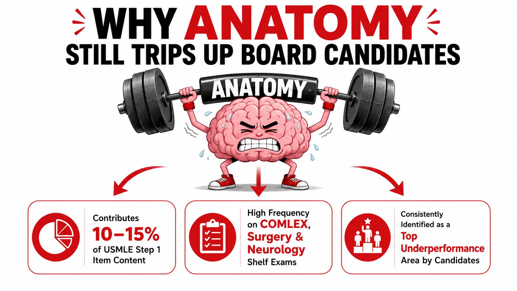 A brain character lifting a heavy barbell labeled anatomy to represent the challenge of medical board exams.
