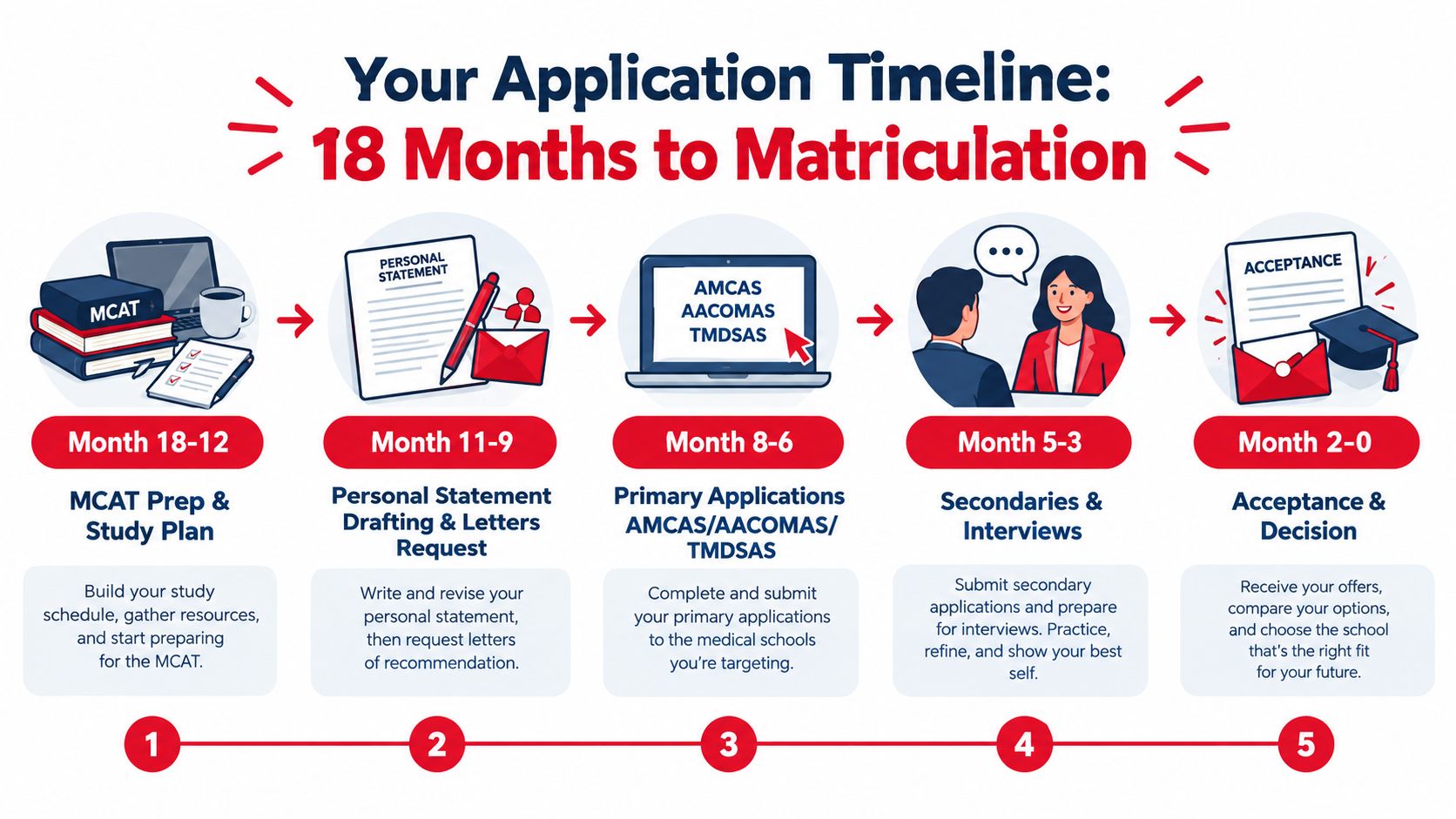A comprehensive infographic timeline showing the five steps of the 18-month medical school application process.