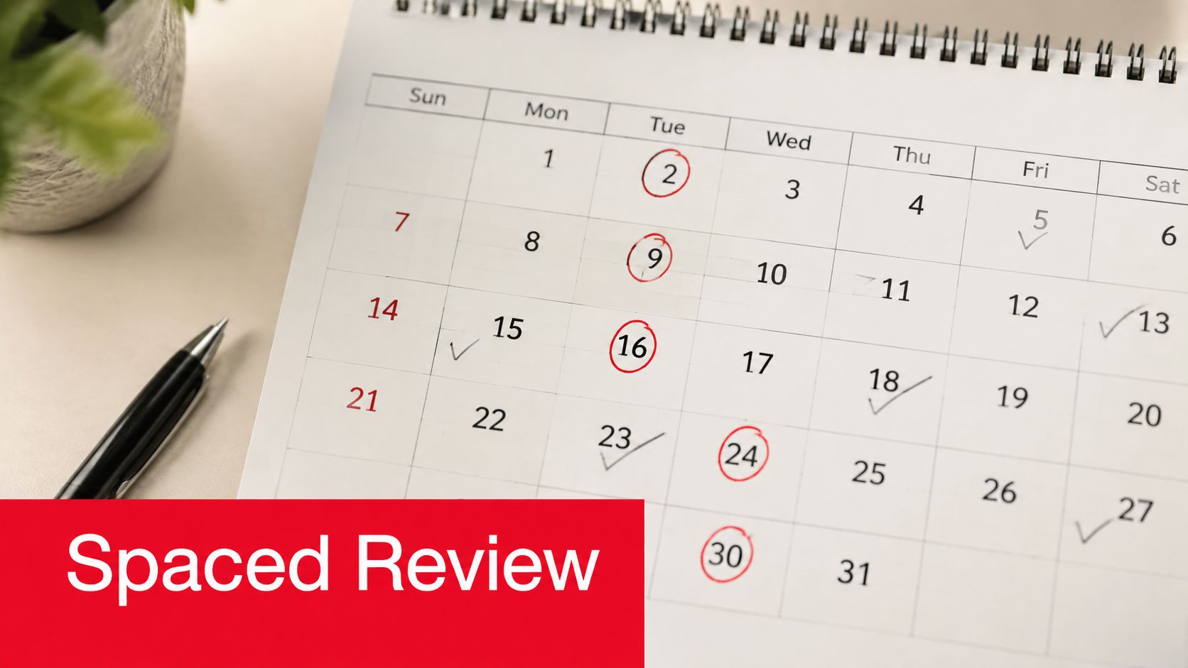 A calendar showing dates with red circles and check marks, labeled with Spaced Review in red.