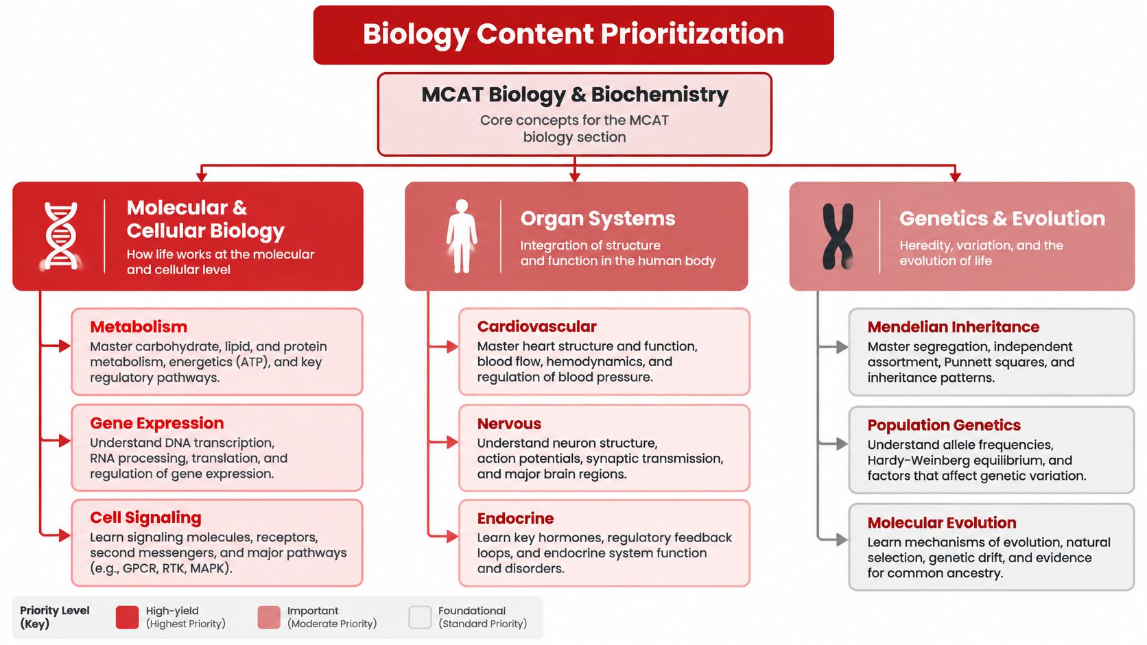 An infographic titled Biology Content Prioritization, showing key study topics for the MCAT exam categorized by priority.